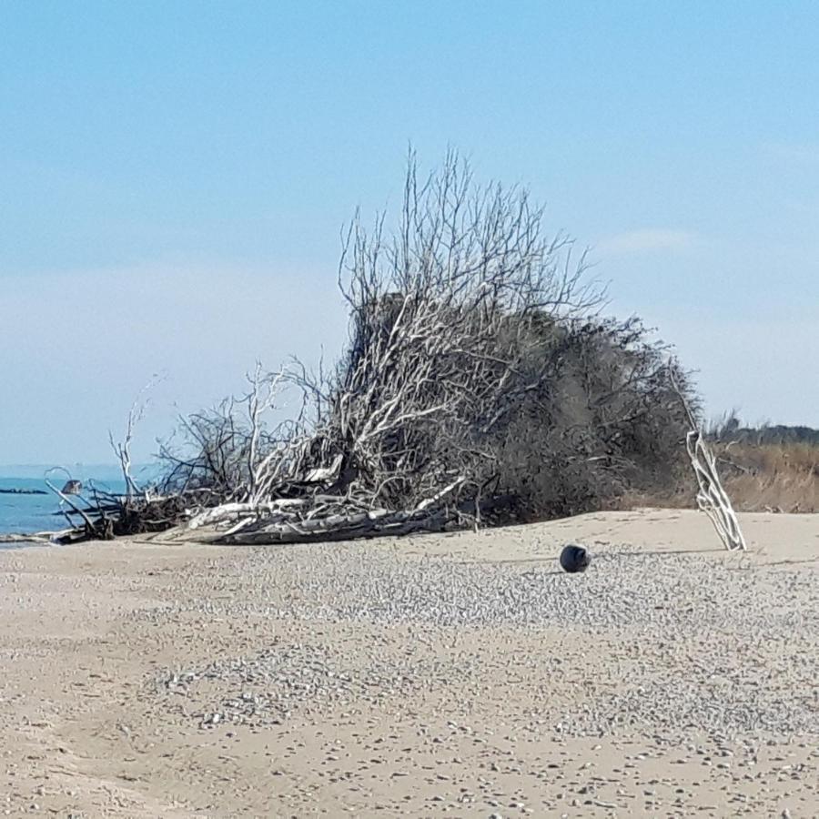 In Collina Sul Mare... Villa Монтенеро ди Бизача Екстериор снимка