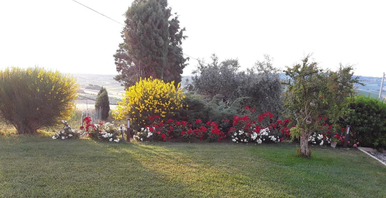 In Collina Sul Mare... Villa Монтенеро ди Бизача Екстериор снимка