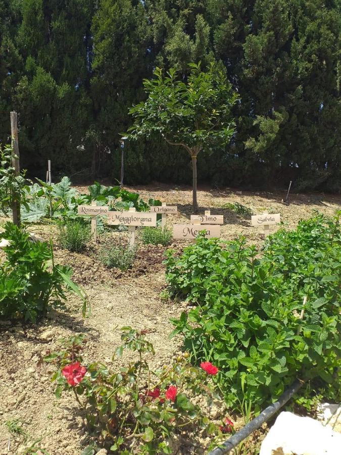 In Collina Sul Mare... Villa Монтенеро ди Бизача Екстериор снимка