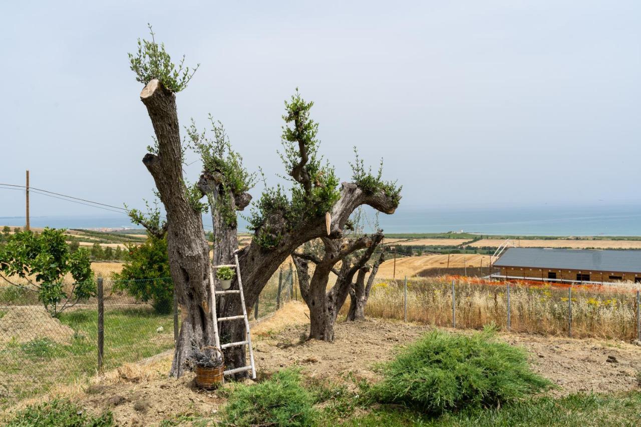 In Collina Sul Mare... Villa Монтенеро ди Бизача Екстериор снимка